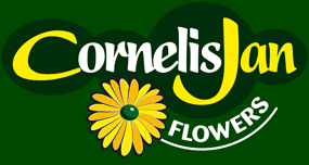 CornelisJan logo